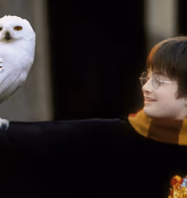 Harry Potter and the Philosopher’s Stone™ In Concert (PG) show poster