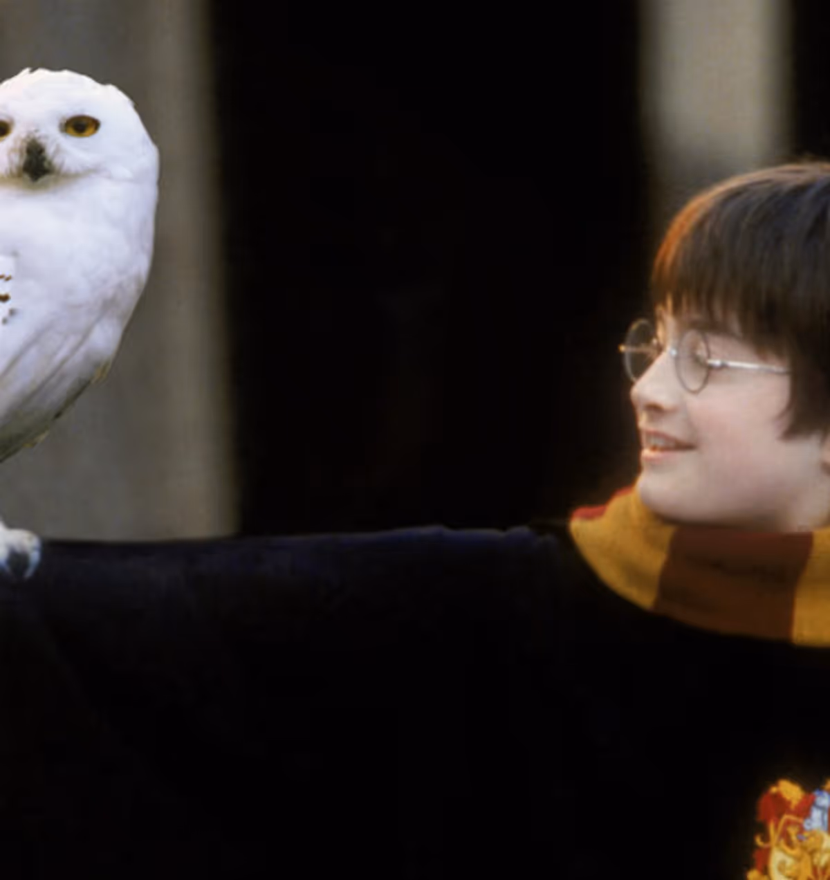 Harry Potter and the Philosopher’s Stone™ In Concert (PG)