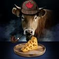 Catching a Cheese Pervert: A Priscilla Patton Mystery in Toronto