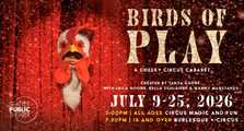 Birds of Play in Seattle