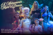 A Midsummer Night's Dream in Netherlands