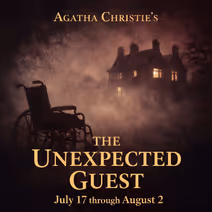 The Unexpected Guest