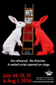 White Rabbit Red Rabbit show poster