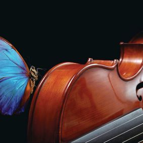 Stony Brook Symphony Orchestra show poster