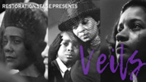 VEILS show poster
