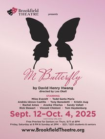 M Butterfly show poster