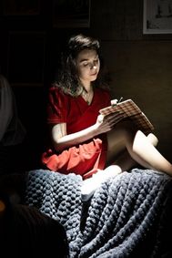 The Diary of Anne Frank show poster