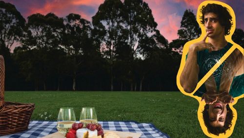 Theatre Under the Stars show poster