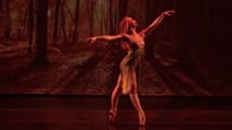 SMDCAC Presents Dimensions Dance Theatre of Miami’s Program II: Generations of Genius