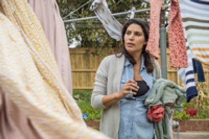 The Fence show poster