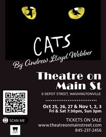 Andrew Lloyd Webber's Cats show poster