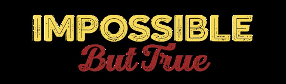 Impossible But True show poster