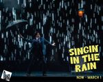 Singin in the Rain in Chicago