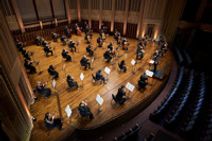 In Focus: Celestial Serenades