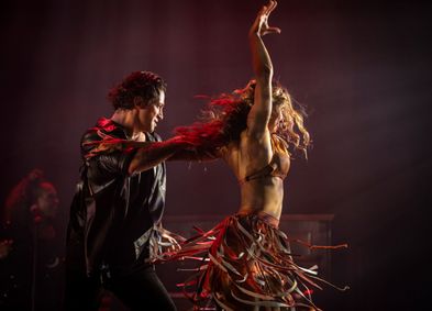 Burn the Floor - Dare to Dream show poster