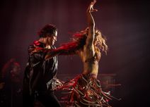 Burn the Floor - Dare to Dream