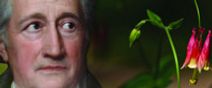 METAMORPHOSIS OF PLANTS - Lyric Fest