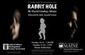 Rabbit Hole in Broadway