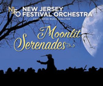Moonlit Serenades show poster