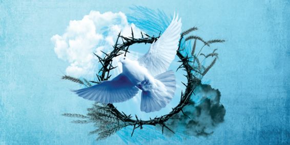 The Harvest by Sameul D. Hunter show poster