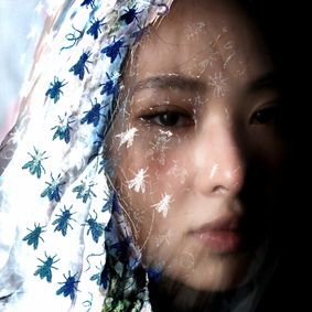 The Golden Fly Bomb show poster