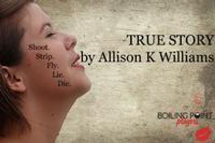True Story by Allison K Williams show poster