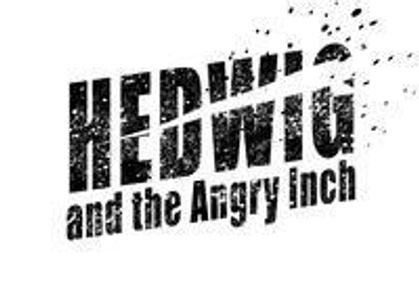 HEDWIG and the ANGRY INCH show poster