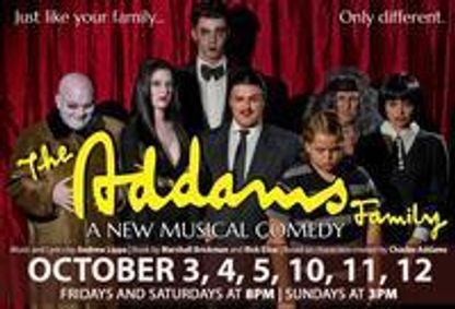 THE ADDAMS FAMILY The Musical show poster