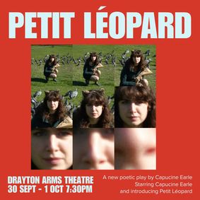 Petit Léopard show poster