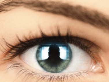 Never Not Once show poster