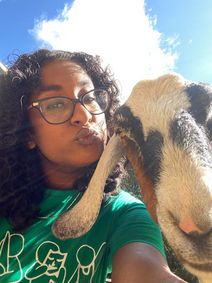 A Faery Hunt Adventure and Their Animal Friends