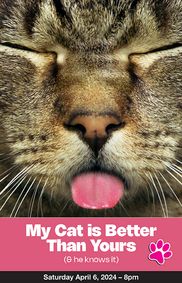 My Cat is Better Than Yours show poster