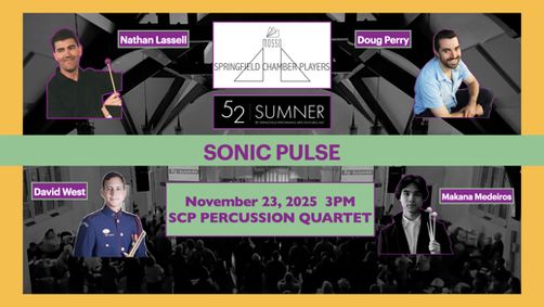 Sonic Pulse show poster