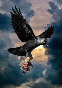 Birthday Book of Storms  show poster