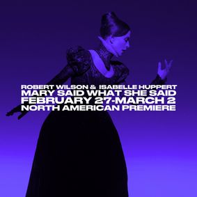 Mary Said What She Said show poster