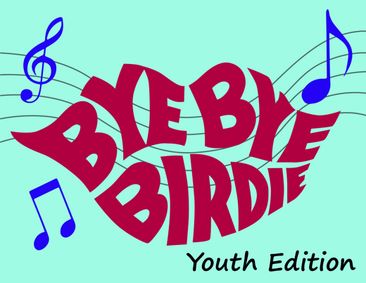 Bye Bye Birdie Youth Edition show poster