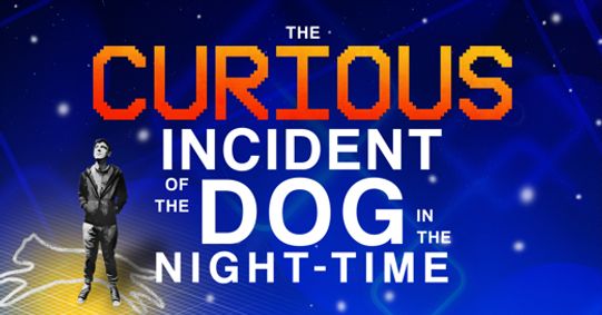 The Curious Incident of the Dog in the Night-Time show poster