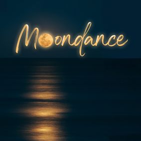 Moondance: A Tribute to Van Morrison show poster