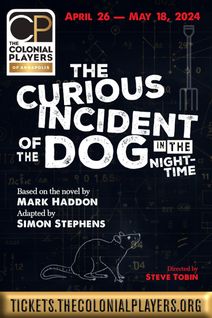 The Curious Incident of the Dog in the Night-Time