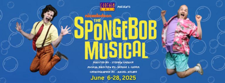 THE SPONGEBOB MUSICAL show poster