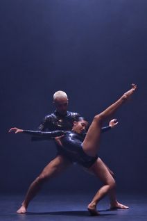 Fall for Dance North 2023