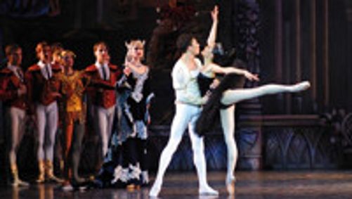 Nerubashenko Ballet presents: Swan Lake & The Nutcracker show poster