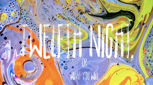 Twelfth Night, Or, What You Will show poster