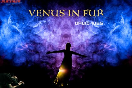 Venus in Fur show poster