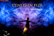 Venus in Fur