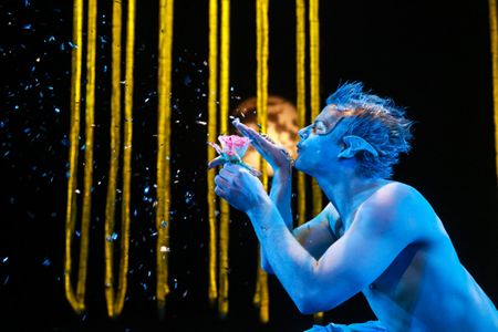 A Midsummer Night’s Dream