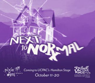 Next to Normal show poster