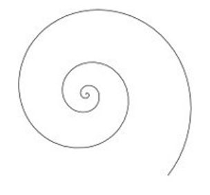 Seashell show poster