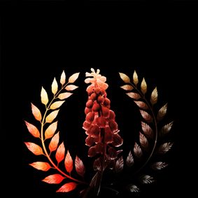 The Laurel and The Hyacinth show poster