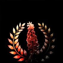 The Laurel and The Hyacinth